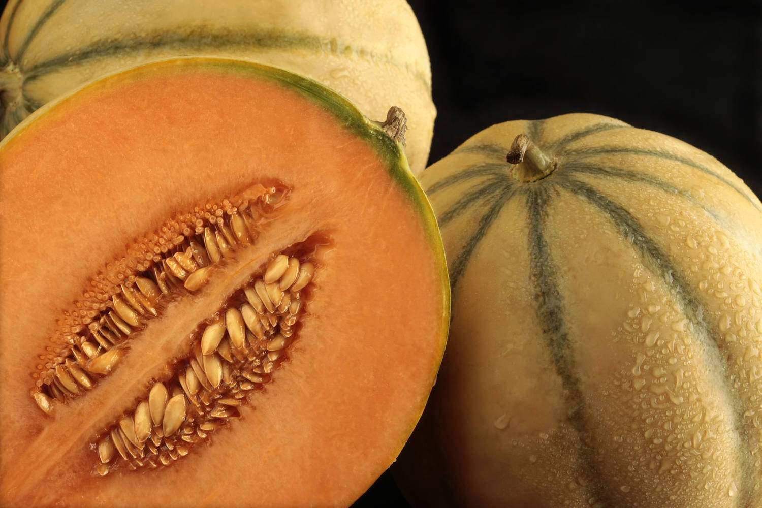 Melon charentais taille 5 caisse 10pc 2